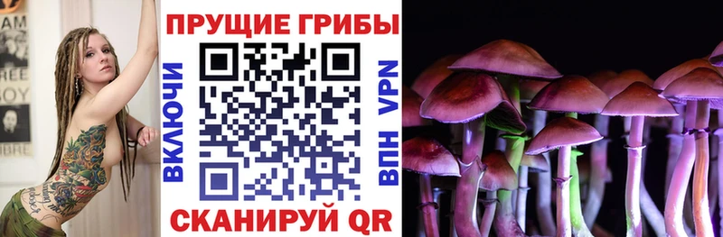 Псилоцибиновые грибы мухоморы  Новое Девяткино 